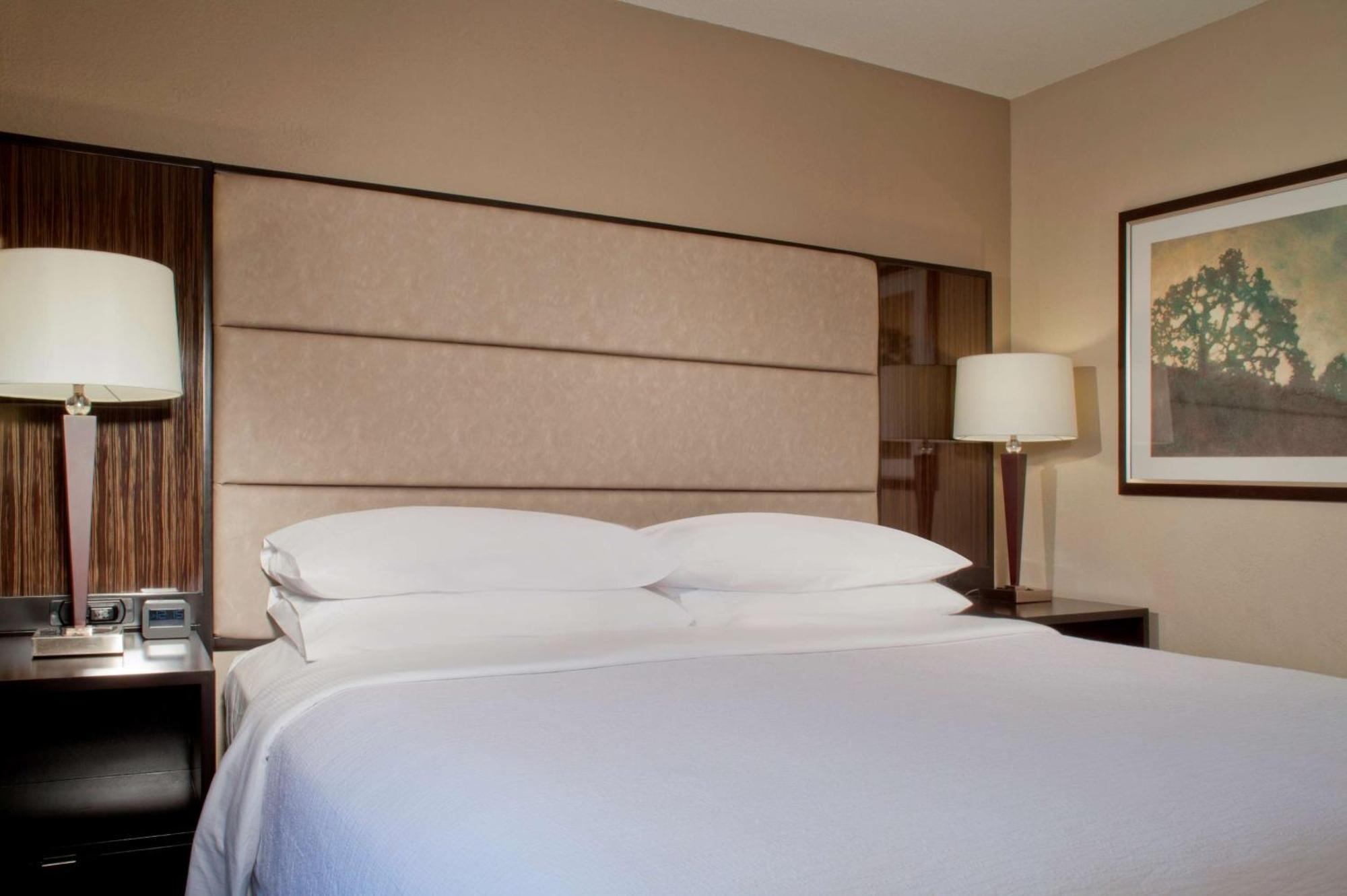 Embassy Suites By Hilton Houston Near The Galleria Ngoại thất bức ảnh